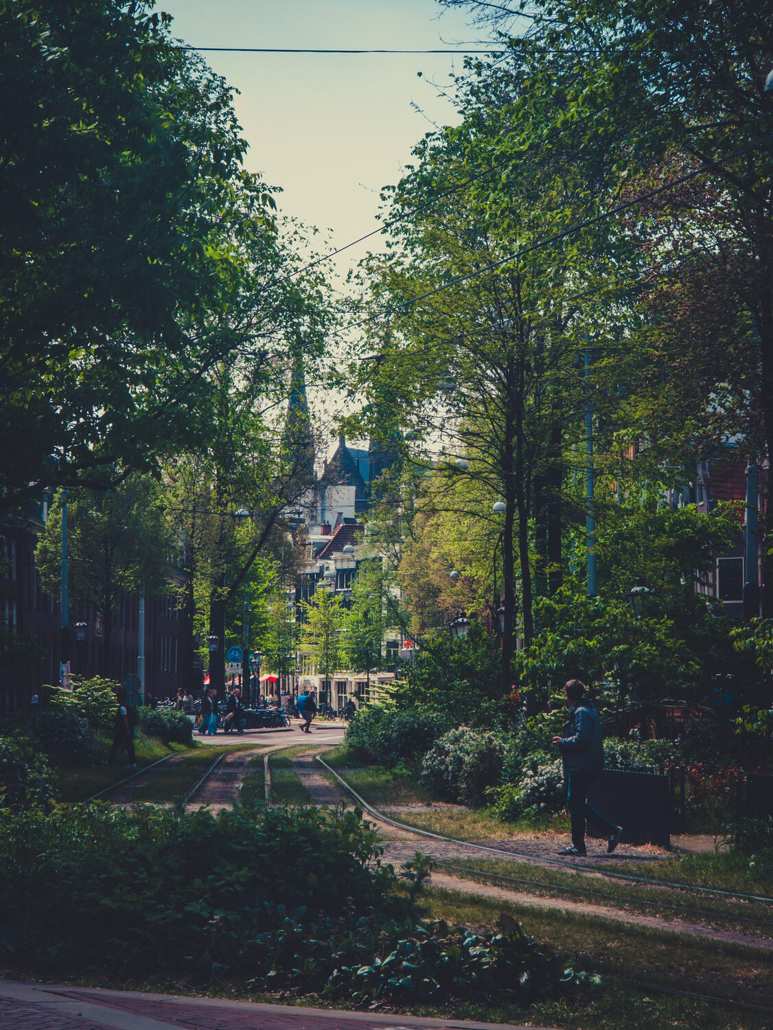 Hi, Amsterdam.