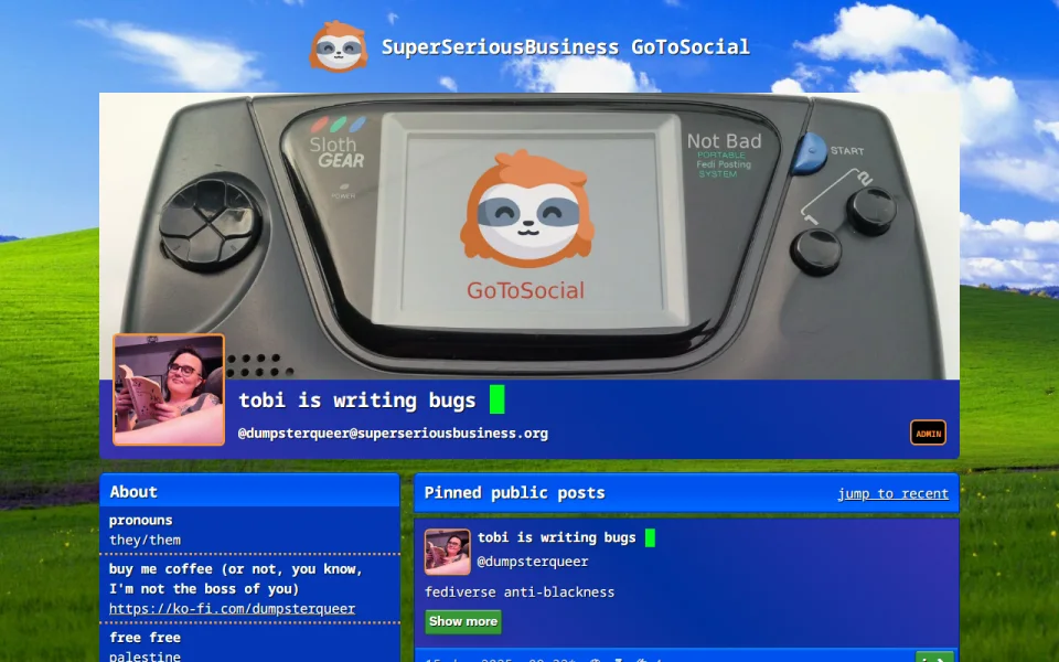 Screenshot of GoToSocial